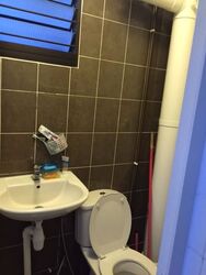 Blk 146 Bishan Green (Bishan), HDB 4 Rooms #624561371